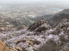 -北京凤凰岭