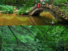-洛阳白云山景区