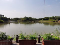 -福田红树林生态公园