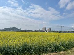 -光明小镇欢乐田园