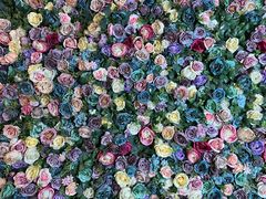 -春树下·树屋花房西餐厅(罍街AS1980店)