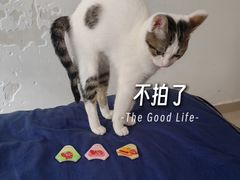 -汇邦中心ICON MALL