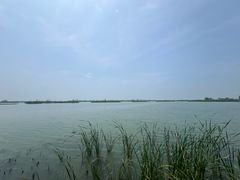 -苏州太湖湖滨国家湿地公园