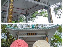 -广州市白云山风景名胜区