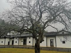 -井冈山风景名胜区