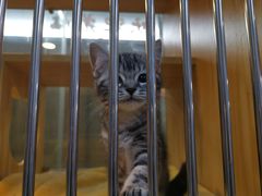 -三旗百汇商品城