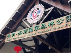 -上海海湾国家森林公园