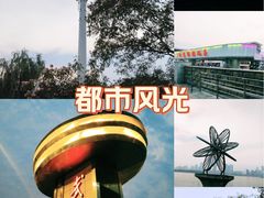 -武昌江滩