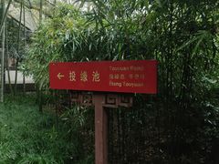 -杭州黄龙洞