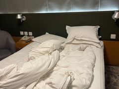 -北京民族园葉子里酒店(鸟巢店)