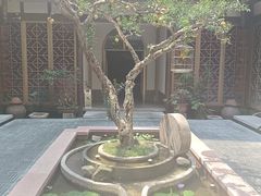 -南堂小馆·川菜馆(德商国际店)