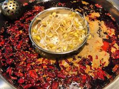 -渝宗老灶火锅(巴国城店)