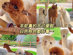 -珠海海泉湾神秘岛亲子乐园