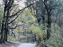 -香山公园