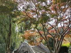 -圩墩遗址公园