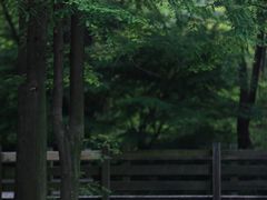 -宝界山林公园