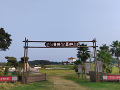 -空港花田景区