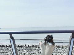 -瀛洲公园