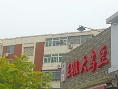 -洪湖里王姐大乌豆