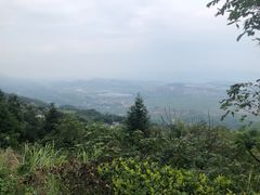 -铁山坪森林公园