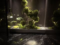 -唐宫足道·SPA·影院会馆(木渎店)