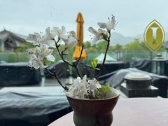 -时光吧·大堂吧·丽江和府洲际度假酒店