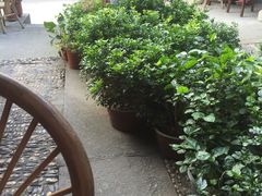 -礼耕堂·百年茶人餐厅(梅家坞店)