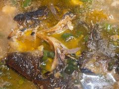 -探鱼·鲜青椒爽麻烤鱼(广州欣荣广场店)