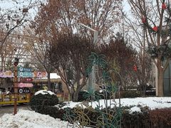 -南宫五洲植物乐园