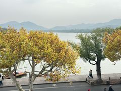 -楼外楼(西湖景区孤山路店)