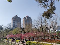 -西湖公园(鼓楼区)