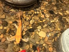 -颐和•海鲜砂锅粥•啫啫煲(奥林匹克广场店)