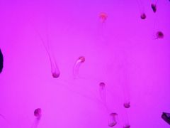 -沈阳海洋探索中心