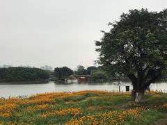 -海珠湖公园
