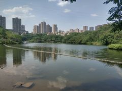 -重庆彩云湖湿地公园