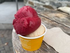-Patagonia Chocolates(皇后镇店)