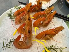 -冶春茶社(官园桥店)