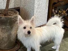 -绿房子方寸咖啡(星海名城店)