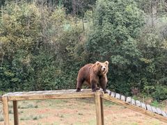 -杭州野生动物世界