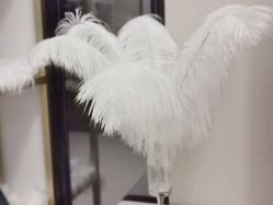 -L•野生眉半永久纹眉纹绣