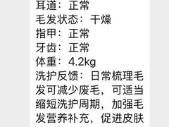 -囡的喵喵酱·萌宠生活馆·宠物洗护美容(胶州路店)