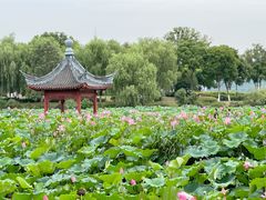-东湖生态旅游风景区