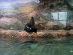 -福州罗源湾海洋世界旅游区