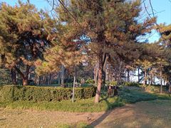 -陕西民俗大观园