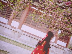-西安青龙寺遗址景区