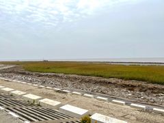 -南汇嘴观海公园