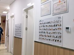 -宠福鑫康馨动物医院·骨科·眼科