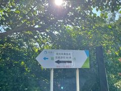 -杨梅坑