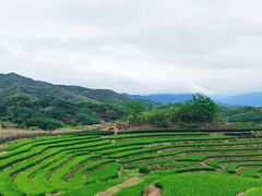-牙胡梯田景区