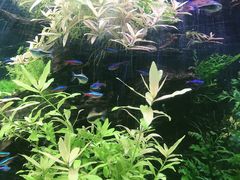 -上海海洋水族馆